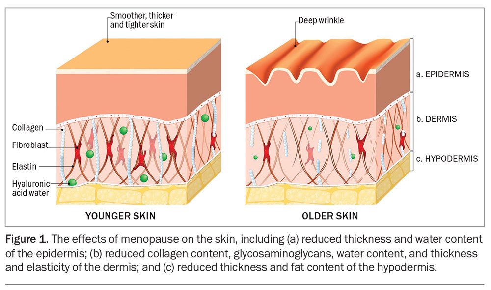 Figure 1. Figure 1.