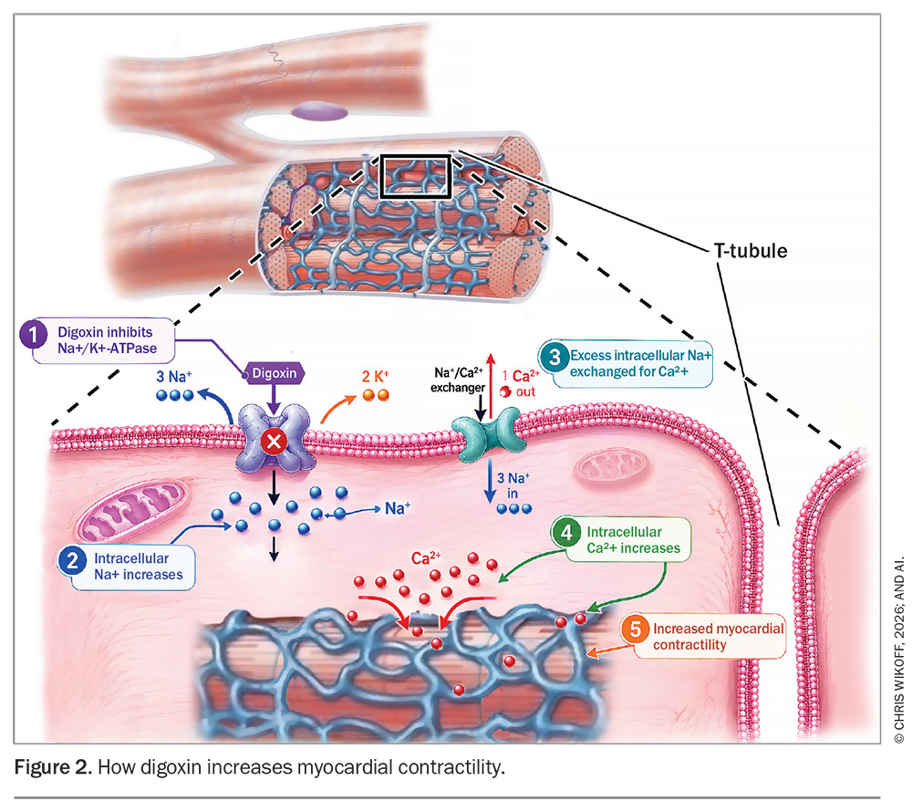 Figure 2. Figure 2.