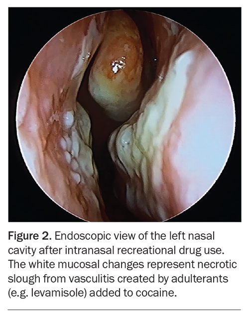 Figure 2. Figure 2.