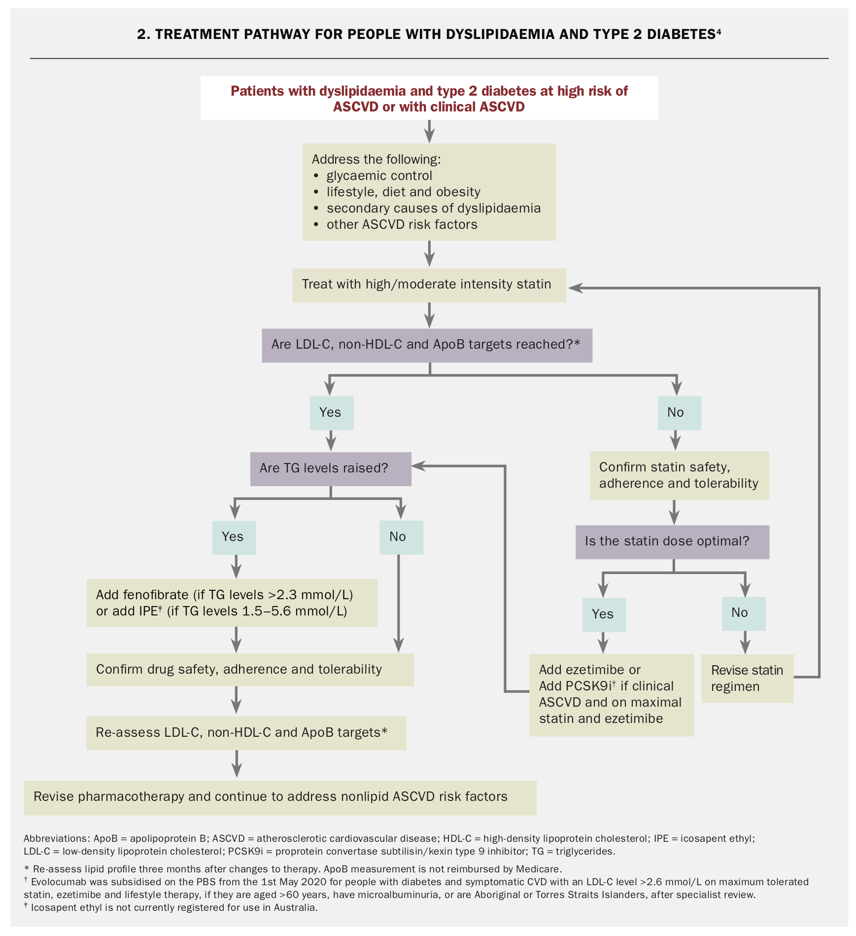 PDF) Statins, Fibrates and Myopathy: Pathophysiological Mechanism, Risk  Factors and Laboratory Markers