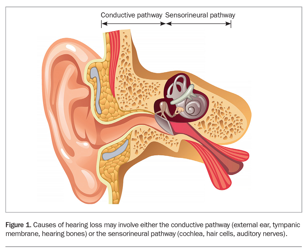 Евстахиева труба внутреннее ухо