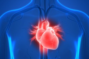 Heart failure with reduced ejection fraction: a 2026 update on management