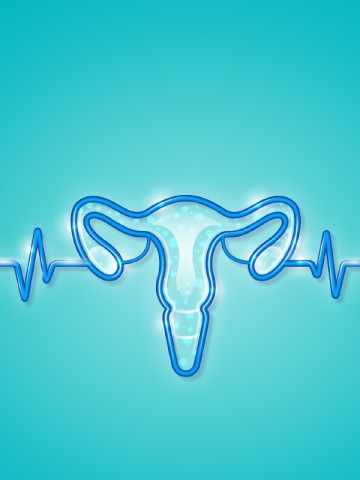 © BIRTH BRAND/SHUTTERSTOCK.COM
