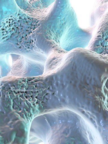 © DR_MICROBE/STOCK.ADOBE.COM
