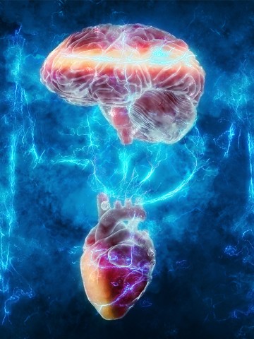 © ANDRUS CIPRIAN/SHUTTERSTOCK