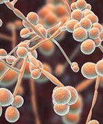 © KATERYNA_KON/STOCK.ADOBE.COM CANDIDA ALBICANS