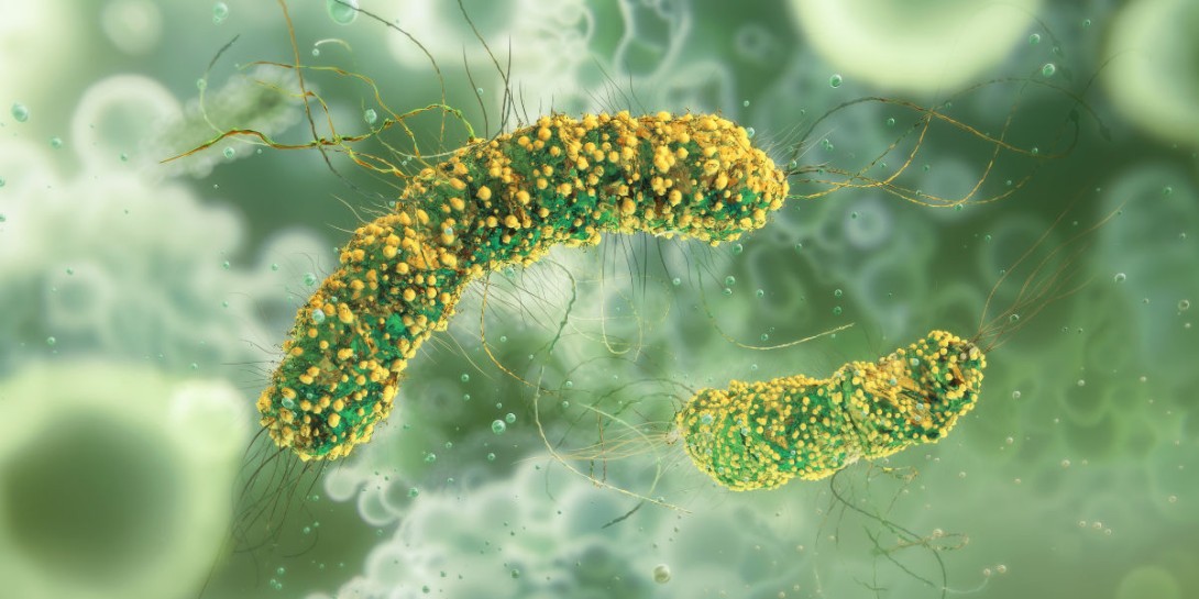 Could engineered bacteria, including Listeria monocytogenes, help treat cancer? quantic69/istockphoto.com