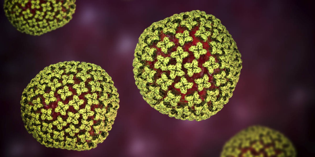 Dr_Microbe/istockphoto.com